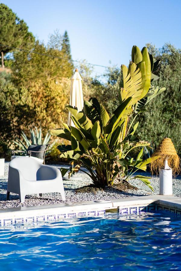 Campo Agave B&B Sayalonga Exterior photo