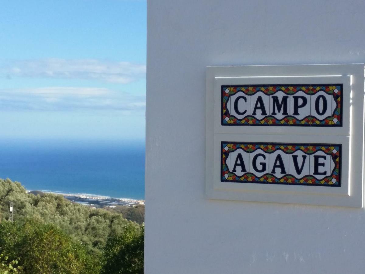 Campo Agave B&B Sayalonga Exterior photo